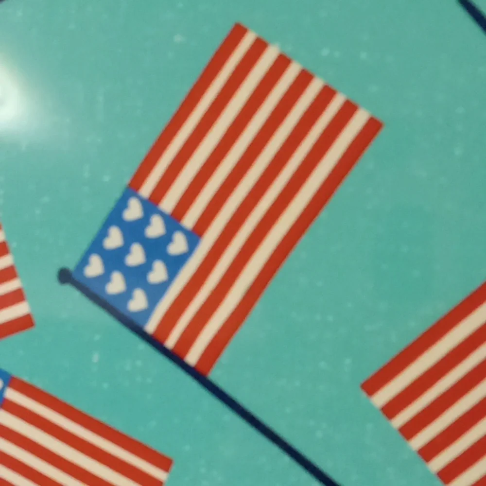 American Flag Pattern Plates New Pier 1